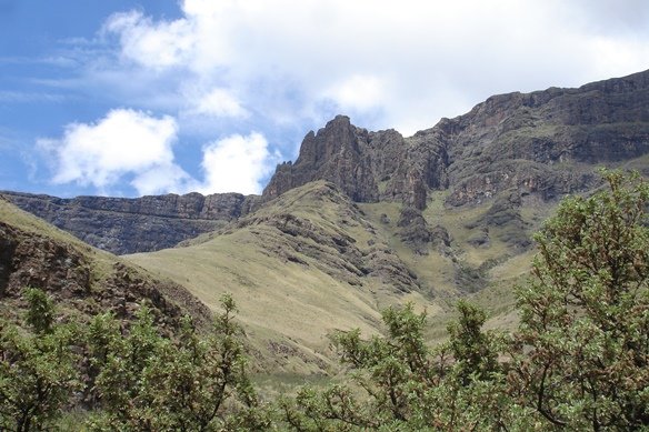 Ouhout invading the Drakensberg